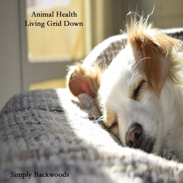 Animal Health and well being in a grid down situation
