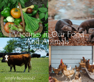 Vaccines in Our Food and Animals